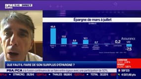 Idées de placements: Que faut-il faire de son surplus d'épargne ? - 15/09