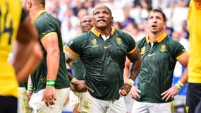 Bongi Mbonambi
