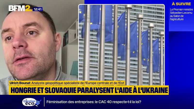 Bras de fer Hongrie - Ukraine : qui cèdera le premier ?