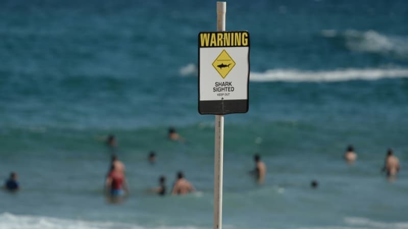 Un jeune surfeur tué par un requin en Australie