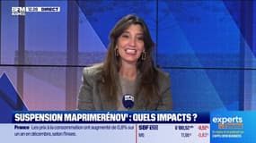 Les Experts de l'immo : Rénovation, les perspectives pour cette année - 06/01