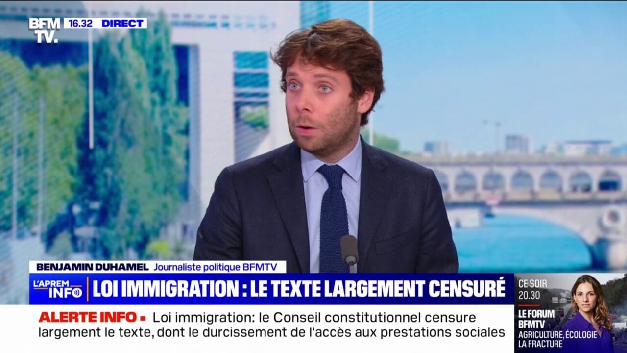 Loi Immigration: Le Texte Largement Censuré Par Le Conseil Constitutionnel