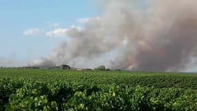 Feux de forêt à Générac (Gard) - Témoins BFMTV