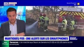 Martigues: opération des forces de secours