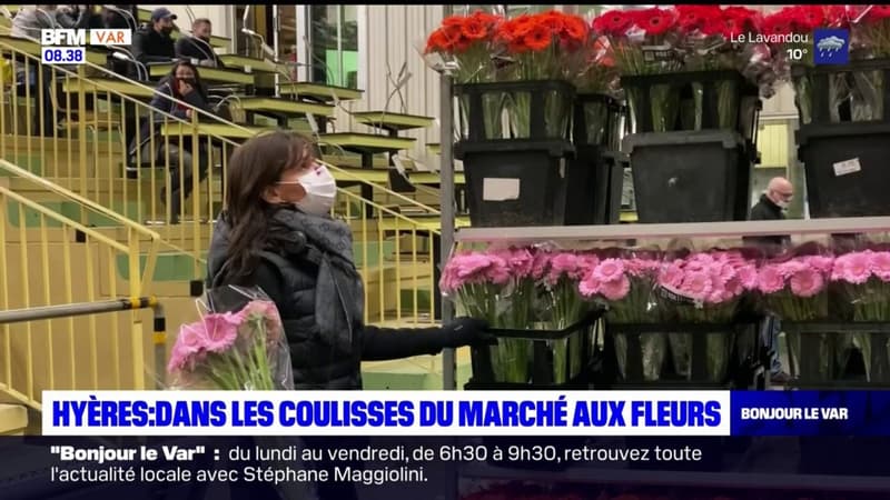 Hyères: dans les coulisses du marché aux fleurs à l'heure de la Saint-Valentin