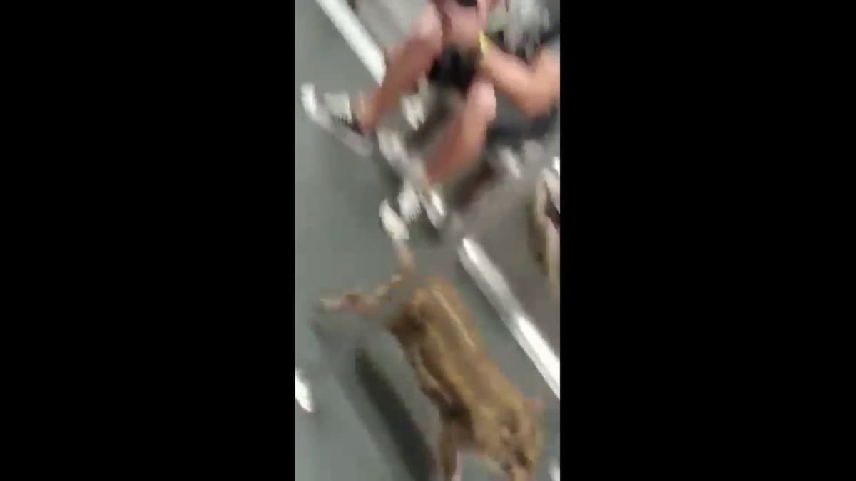 placeholder video