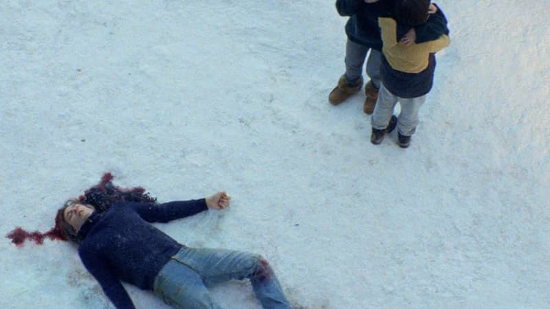 Image extraite du film "Anatomie d'une chute", palme d'or à Cannes.