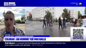 Colmar: un homme tué par balle, le parquet ouvre une information judiciaire