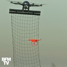 Aigle, filet ou brouilleur: 3 armes pour neutraliser un drone malveillant