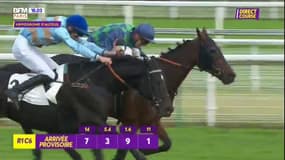 Courses hippiques: revivez le prix la Haye Jousselin R1C6 à Auteuil
