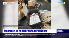 Cocaïne, cannabis: le bilan des douanes à Marseille pour 2022