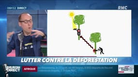 La chronique d'Anthony Morel : Des solutions high-tech pour lutter contre la déforestation - 27/08