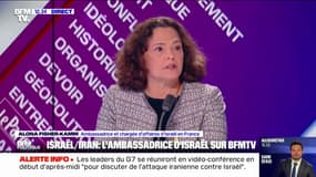 Alona Fisher-Kamm, ambassadrice et chargée d'affaires d'Israël en France: "Israël ne veut pas voir un embrasement régional"
