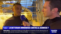 La betterave immunisée contre la jaunisse ? - 16/03