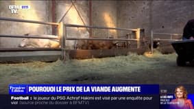 Pourquoi le prix de la viande augmente - 28/02