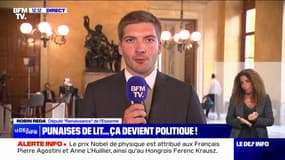 Punaises de lit: "Il faut que ce phénomène soit reconnu dans le code de la santé publique", selon Robin Reda, député Renaissance