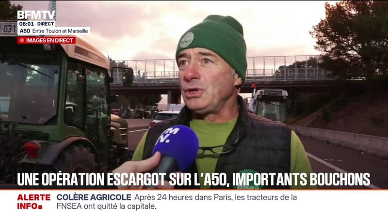 Opération escargot des agriculteurs sur l'A50: "Avant tout, les solutions, et après on verra si l'arrachage rentrera en jeu", affirme André Lanza, viticulteur