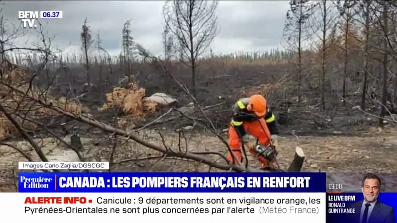 Canada: 120 pompiers français en renfort depuis début juin pour éteindre les méga-feux