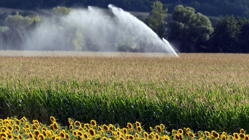 Agriculture, nucléaire... qui consomme le plus d'eau en France?