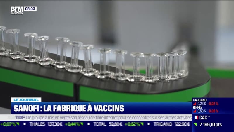 Sanofi: la fabrique à vaccins