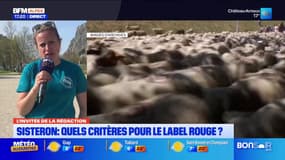 Sisteron: la 8e édition de la fête de l'agneau se déroule ce week-end