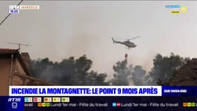 Bouches-du-Rhône: le point, 9 mois après l'incendie de La Montagnette