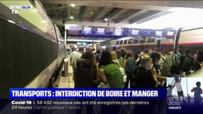 Interdiction de boire et manger dans les trains: la SNCF appliquera la mesure avec discernement