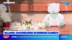 Vallauris: un rassemblement en hommage à Kamilya