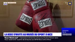 Azur & Riviera: la boxe à l'honneur au musée national du Sport de Nice