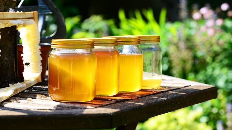 La FNSEA souhaite faire retirer les miels asiatiques des rayons lundi