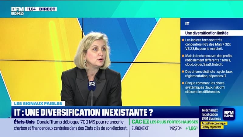 Les signaux faibles - IT, une diversification inexistante ? - 05/06