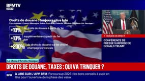 LE CHOIX D'AMÉLIE ROSIQUE - Droits de douane, taxes: qui va trinquer ?