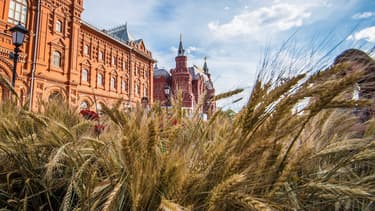 La Russie, premier exportateur mondial de blés, va suspendre ses exportations de blé, seigle, orge et maïs jusqu'au 1er juillet