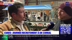 Bouches-du-Rhône: OK Corral recrute 150 saisonniers ce mardi