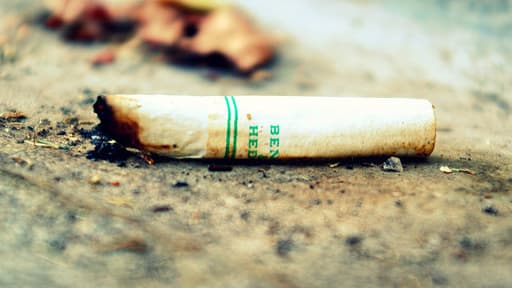 La "Cigg Seeds" apporte une réponse au problème de pollution engendré par les 4 500 milliards de mégots jetés chaque année dans le monde.