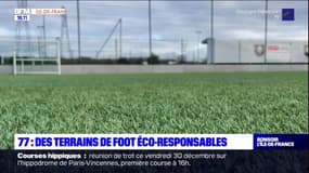 Seine-et-Marne: des terrains de foot éco-responsables