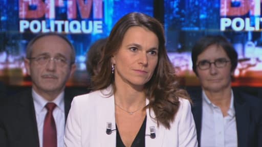 La ministre de la Culture Aurélie Filippetti sur le plateau de BFM Politique ce dimanche 12 janvier