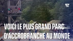 Le plus grand parc d'accrobranche au monde est en Vendée