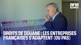Tâches sur les douanes: les entreprises françaises s'adaptent (ou non) 