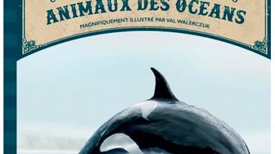 Le livre extraordinaire des animaux des océans de Tom Jackson et Val Walerczuk Le livre extraordinaire des animaux des océans de Tom Jackson et Val Walerczuk