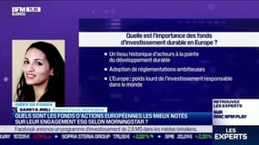 Idée de fonds: Quels sont les fonds d'actions européennes les mieux notés sur leur engagement ESG deslon Morningstar ? - 17/09