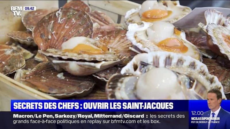 Les secrets des chefs - comment ouvrir les coquilles Saint-Jacques ?