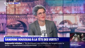 "Je veux jouer un rôle": Sandrine Rousseau veut que les questions "d'égalité et d'écologie sociale" soient "présentes dans le débat de l'écologie" 