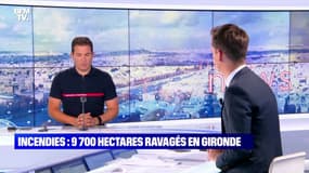 Incendies: 9 700 hectares ravagés en Gironde - 16/07