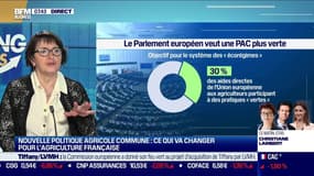Nouvelle PAC: Christiane Lambert (FNSEA): "C'est un effort significatif qui s'ajoute à ce que nous avons déjà fait." 