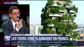 Les tours-forêts arrivent en France