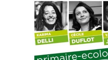 Le site de la formation écologiste est le passage obligé pour participer à la primaire