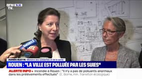 Agnès Buzyn à Rouen: "La ville est clairement polluée"