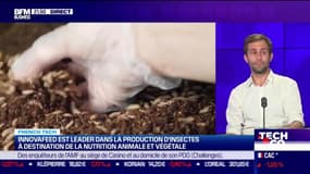 Plongée dans la French tech: Agriconomie, le site marchand de référence des agriculteurs & Innovafeed, le leader dans la production d'insectes pour la nutrition animale et végétale - 14/06