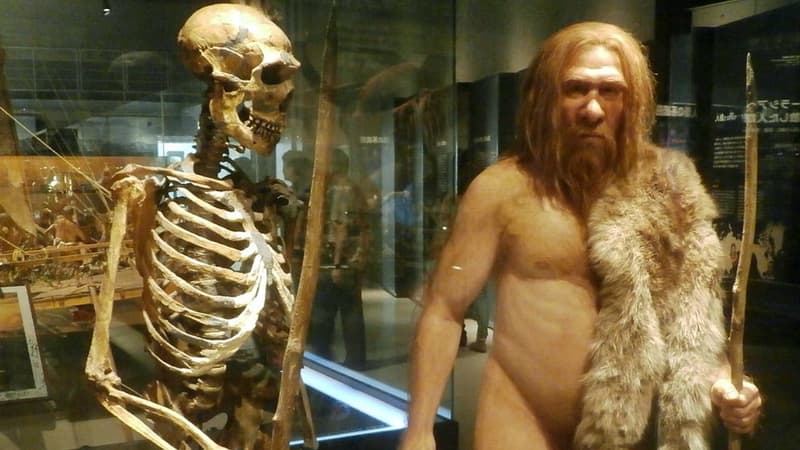 Reconstitution d'hommes préhistoriques dans un musée de Tokyo.